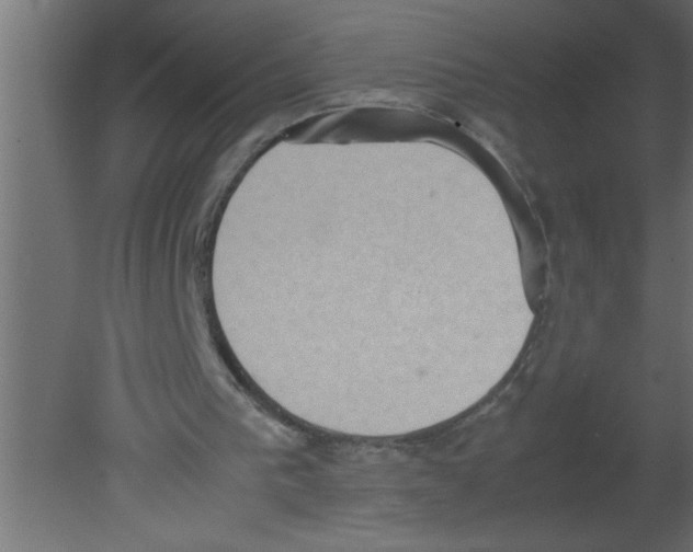 X0000080730193200701121919