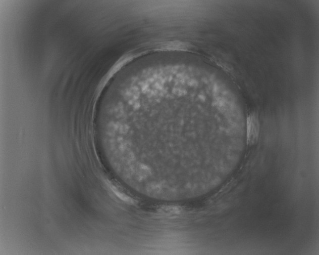 X0000080730195200701121919