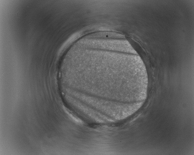 X0000080730197200701121919