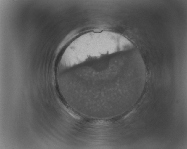 X0000080730198200701121919