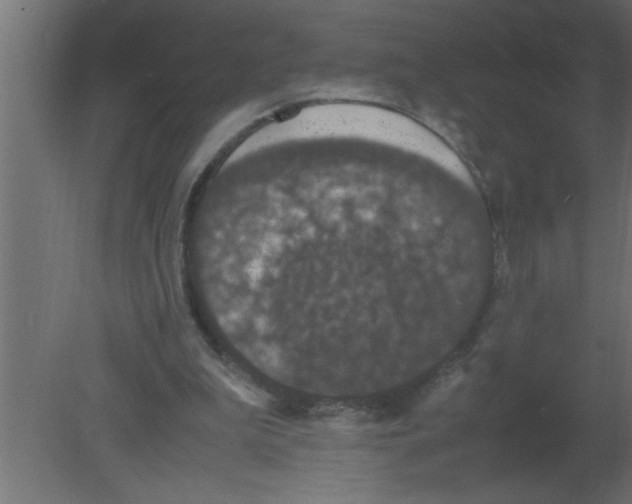 X0000080730199200701121919