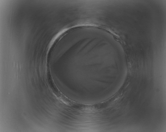 X0000080730200200701121919