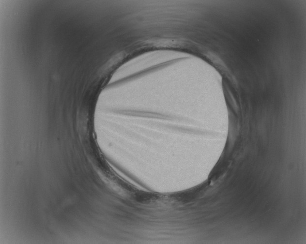 X0000080730201200701121919