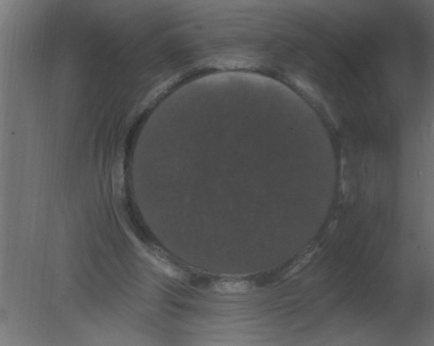 X0000080730202200701121919