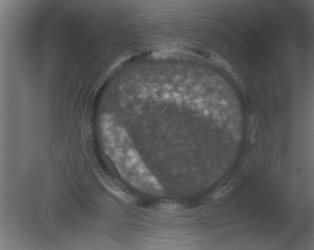 X0000080730203200701121919