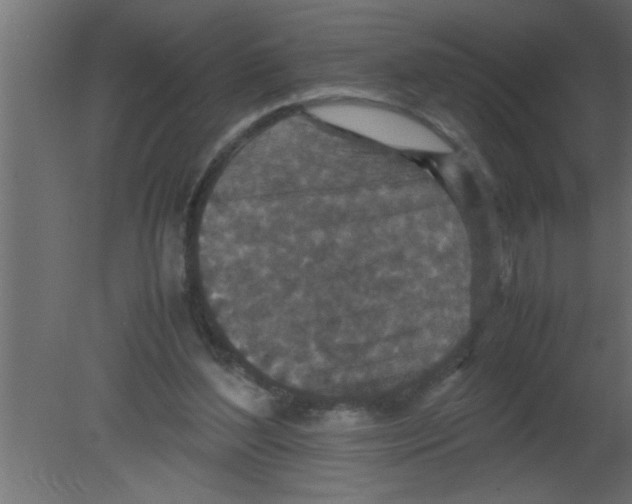 X0000080730204200701121919