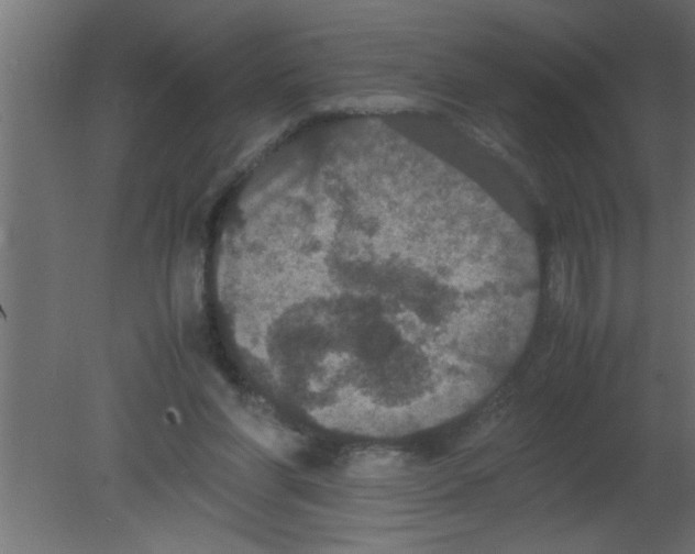 X0000080730206200701121919