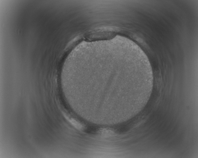 X0000080730207200701121919