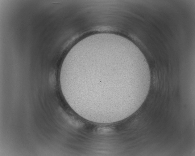 X0000080730208200701121919