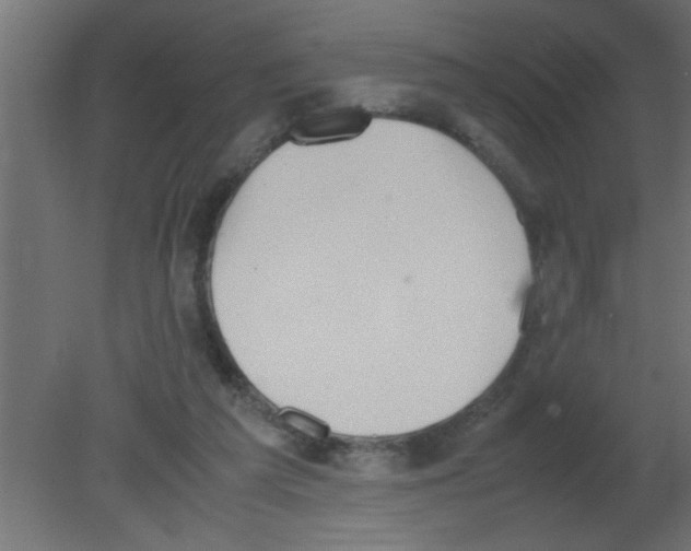 X0000080730209200701121919