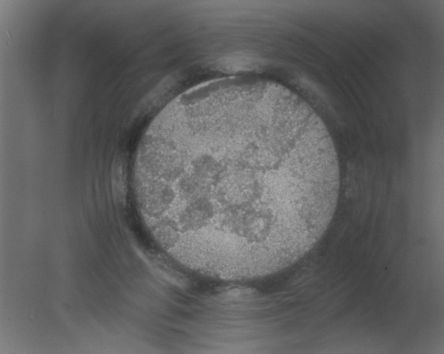 X0000080730210200701121919