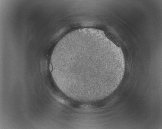 X0000080730211200701121919