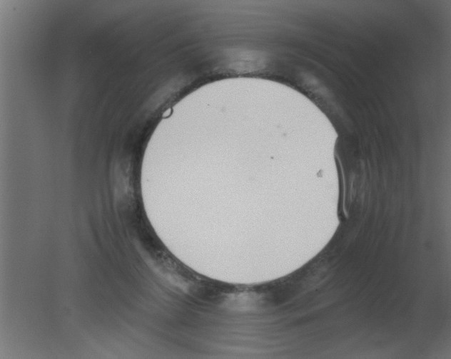 X0000080730212200701121919