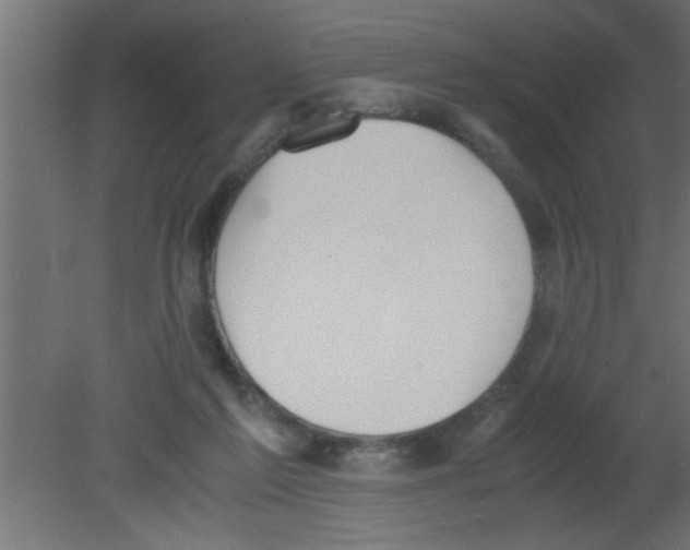 X0000080730213200701121919