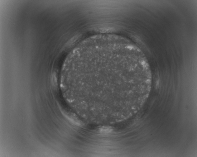 X0000080730214200701121919