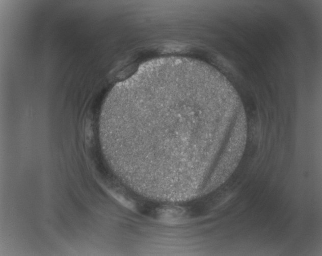 X0000080730215200701121919