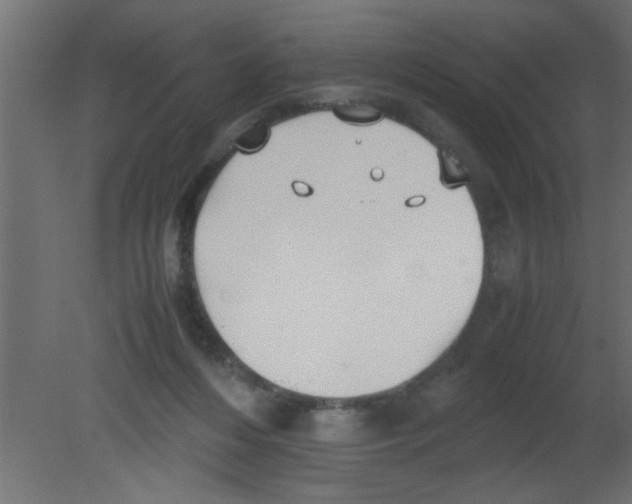 X0000080730216200701121919