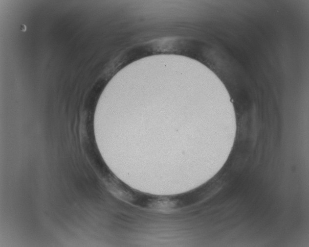 X0000080730217200701121919