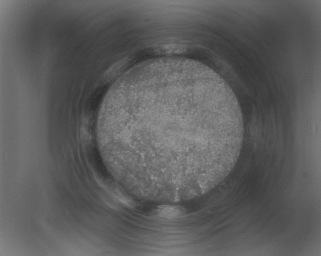 X0000080730218200701121919