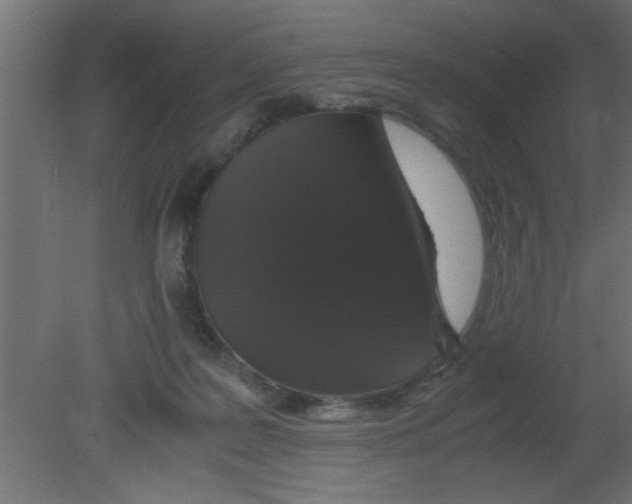 X0000080730219200701121919