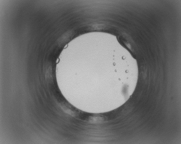 X0000080730220200701121919