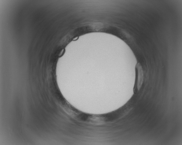 X0000080730221200701121919