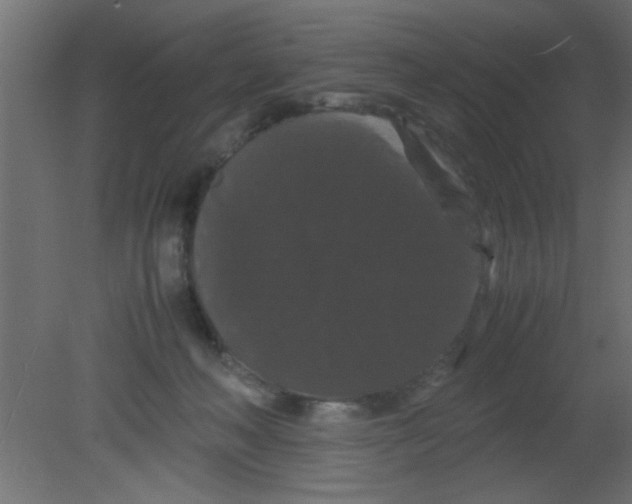 X0000080730222200701121919