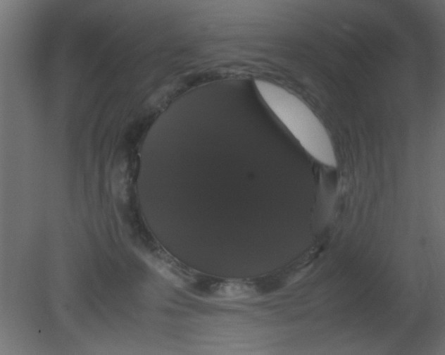 X0000080730223200701121919