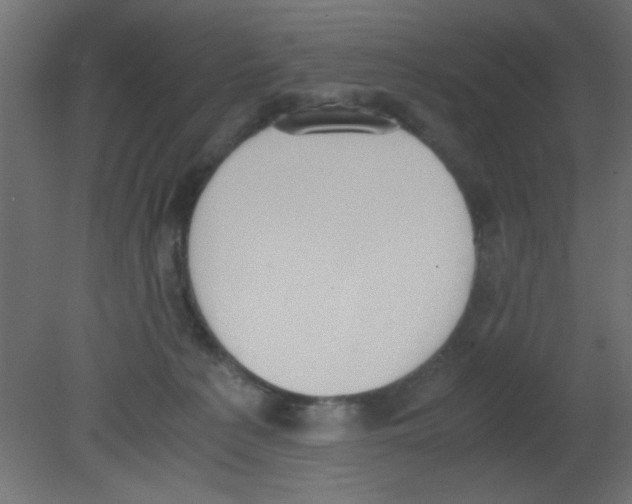 X0000080730225200701121919