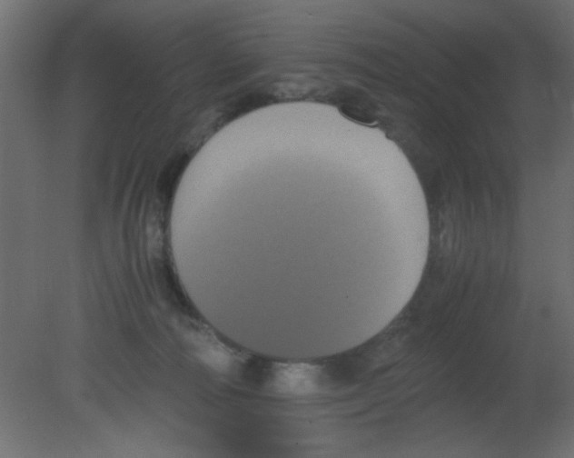 X0000080730226200701121919