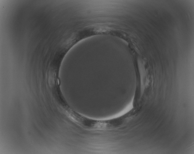 X0000080730227200701121919