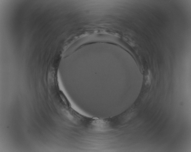 X0000080730231200701121919