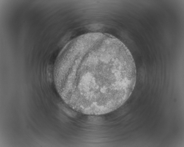 X0000080730234200701121919