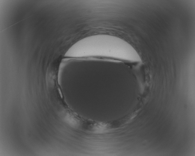 X0000080730235200701121919