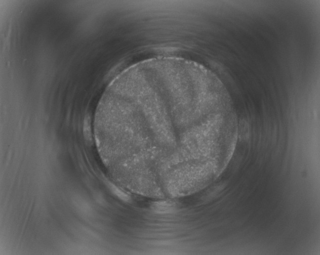 X0000080730238200701121918