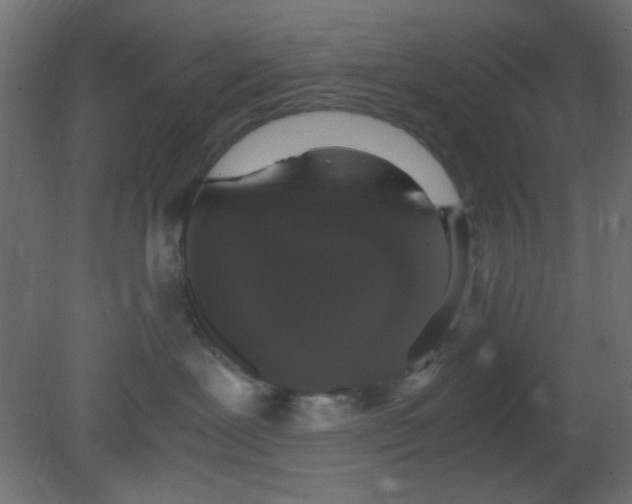 X0000080730239200701121918