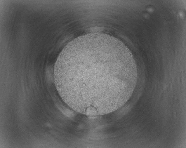 X0000080730240200701121918