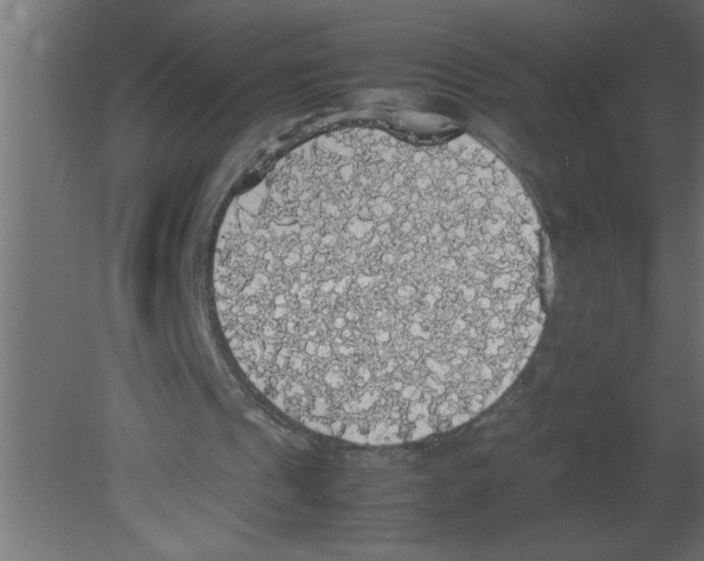 X0000080730241200701121918