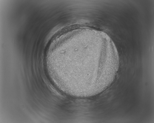 X0000080730242200701121918