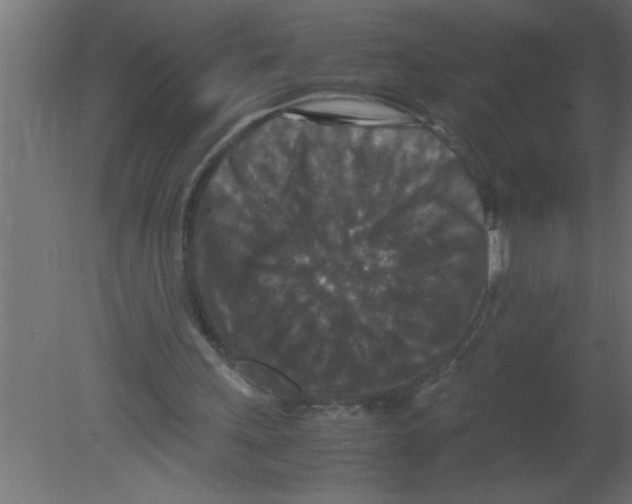 X0000080730243200701121918