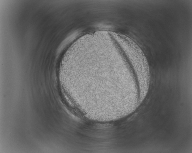 X0000080730245200701121918