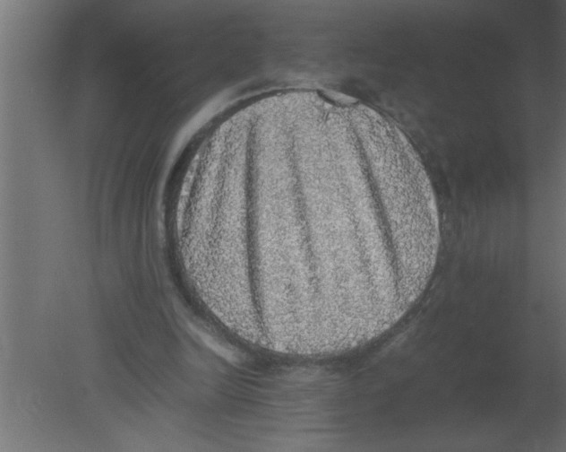 X0000080730246200701121918