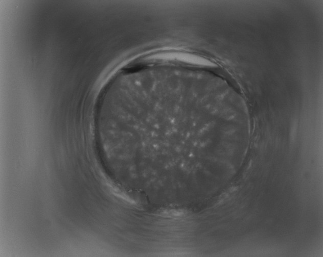 X0000080730247200701121918