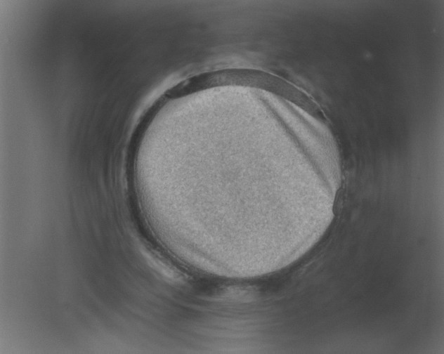 X0000080730248200701121918