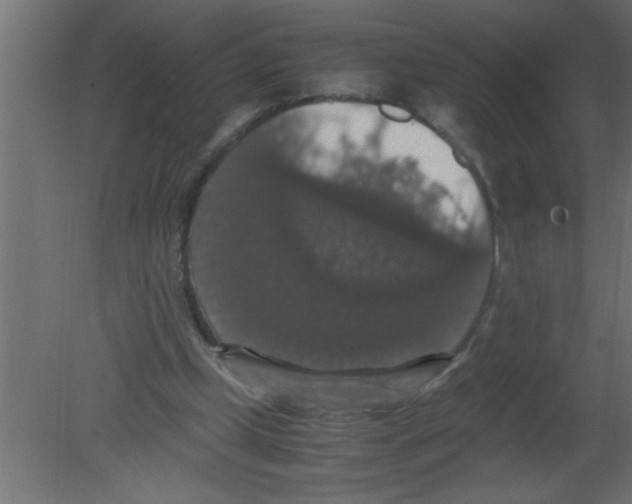 X0000080730249200701121918