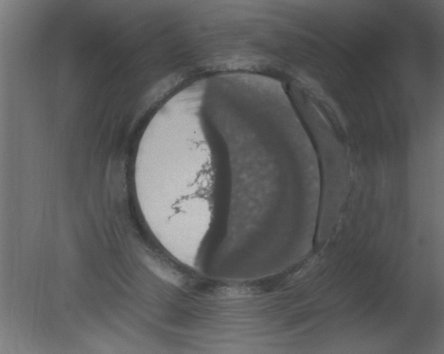 X0000080730250200701121918