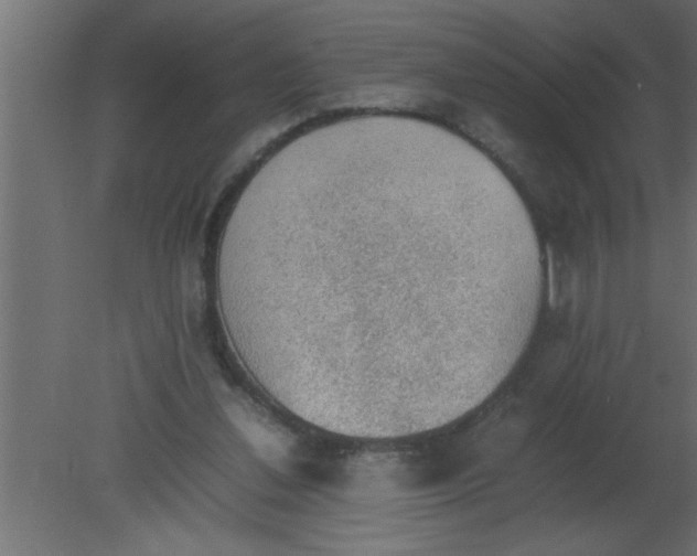 X0000080730252200701121918