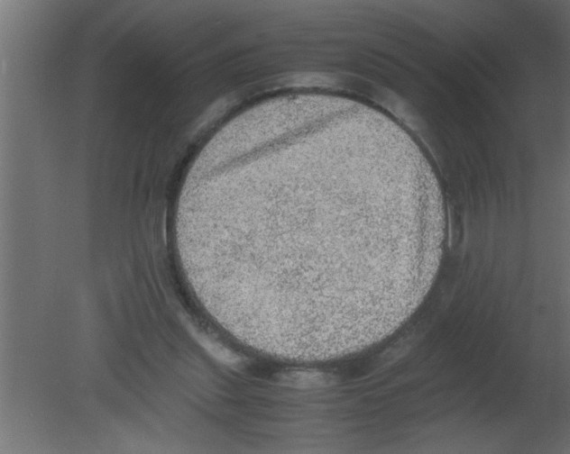 X0000080730253200701121918