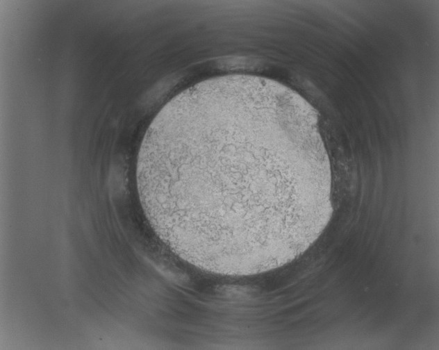 X0000080730255200701121918