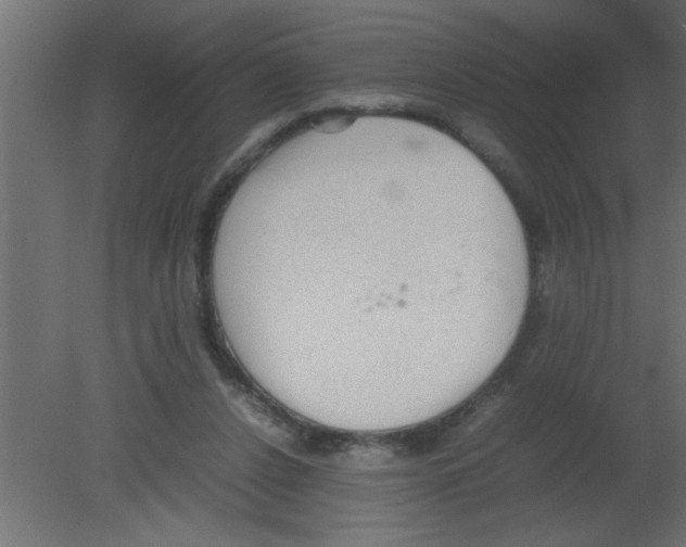 X0000080730256200701121918